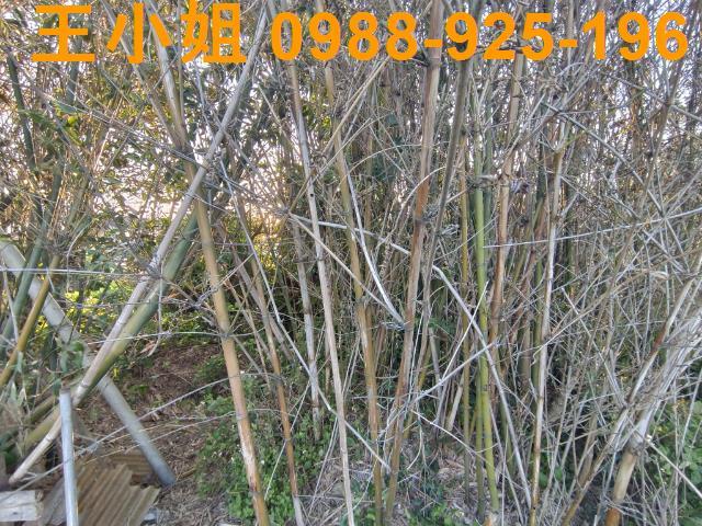 桃園桃園區農地-4