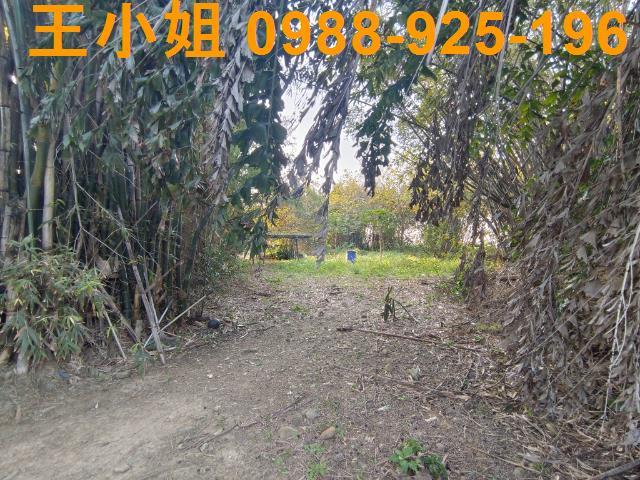 桃園桃園區農地-5