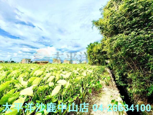 台中大甲農地-3