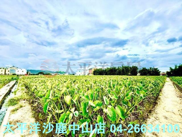 台中大甲農地-4