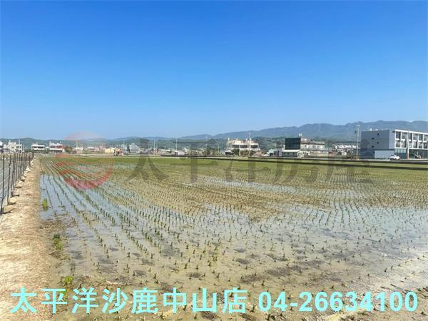 苗栗苑裡農地-3