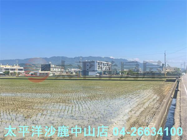 苗栗苑裡農地-4