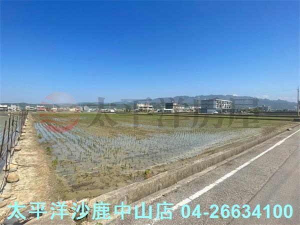 苗栗苑裡農地-6