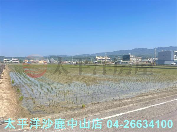 苗栗苑裡農地-7