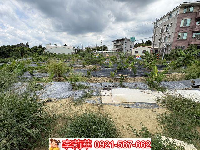台南新市農地-7