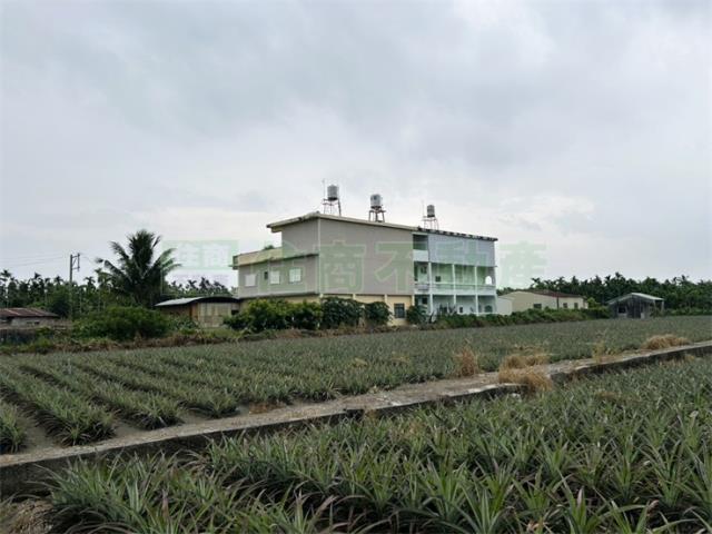 屏東內埔農地-13