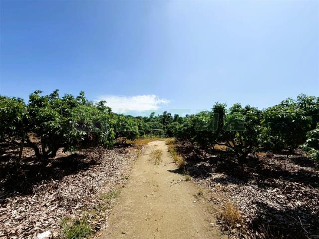 高雄大樹農地-1