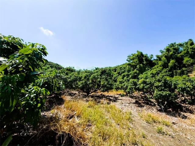 高雄大樹農地-4