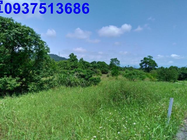 冬山農地-3