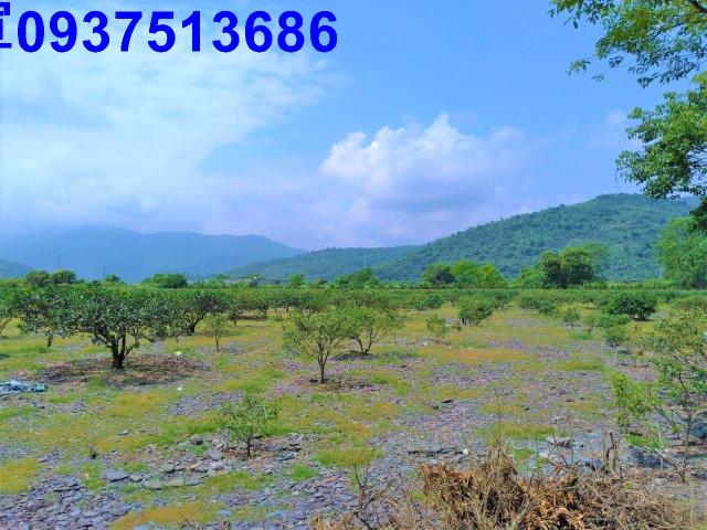 冬山農地-4