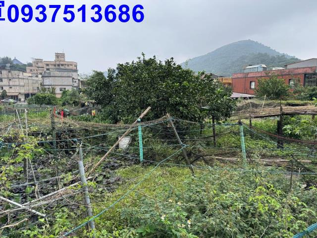 蘇澳建地-3