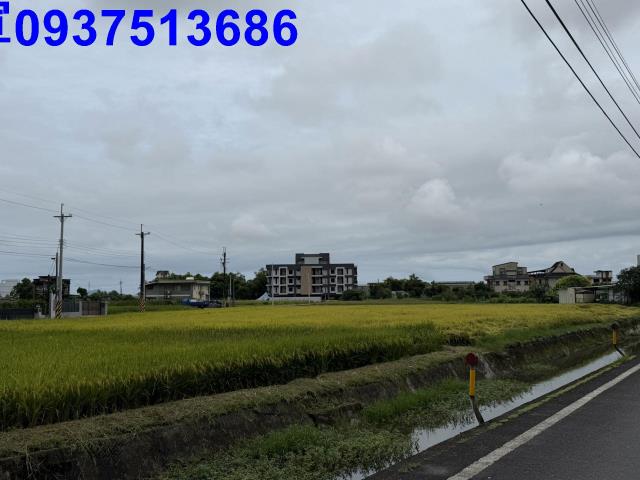 礁溪農地-11