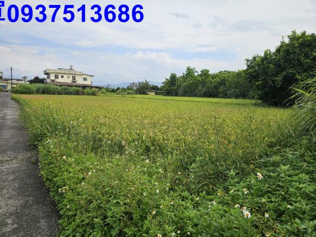 員山農地-1