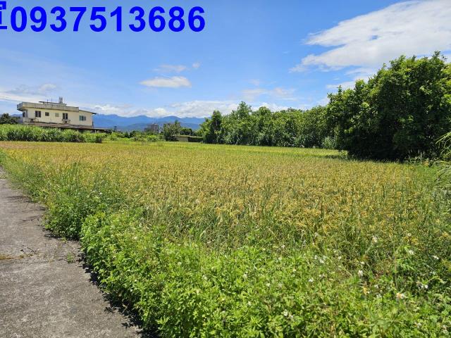 員山農地-4