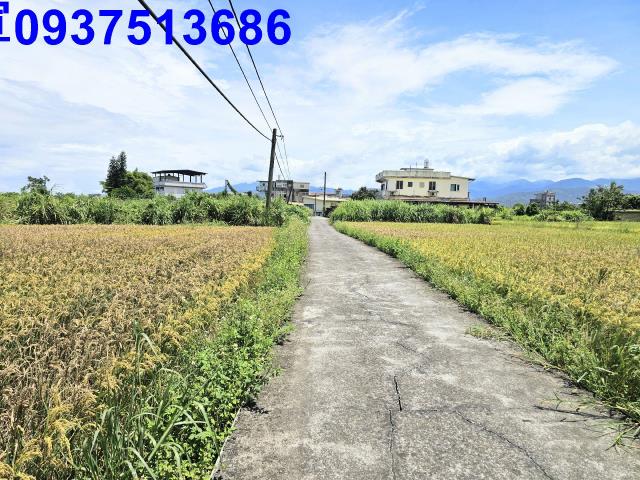 員山農地-7