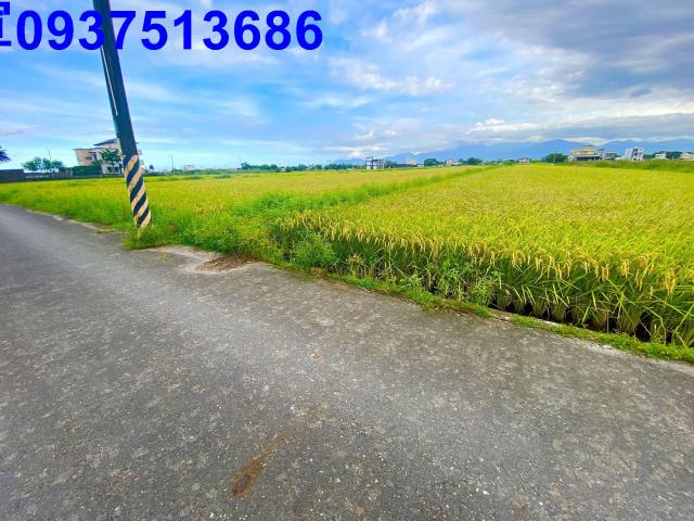 宜蘭農地-3