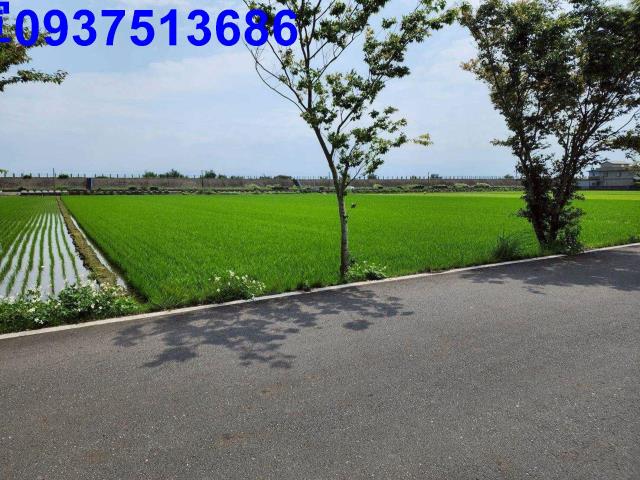 宜蘭農地-14