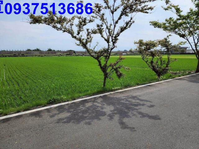 宜蘭農地-4