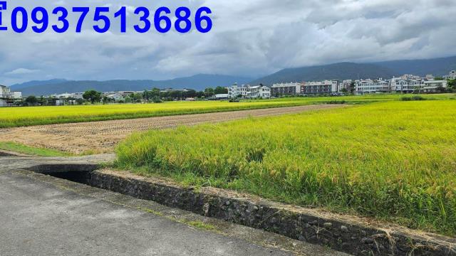 宜蘭農地-15