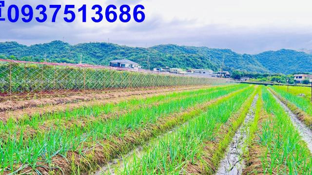 宜蘭三星農地-1