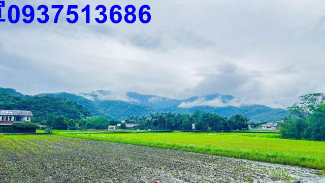 宜蘭三星農地-10