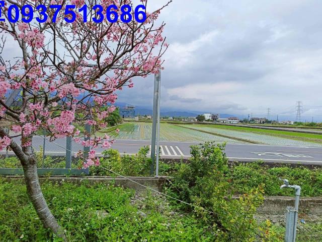 宜蘭三星農地-2