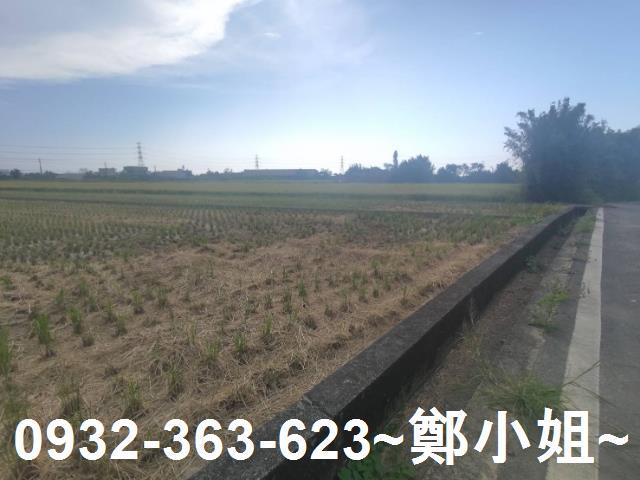 桃園新屋農地-2