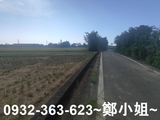 桃園新屋農地-3