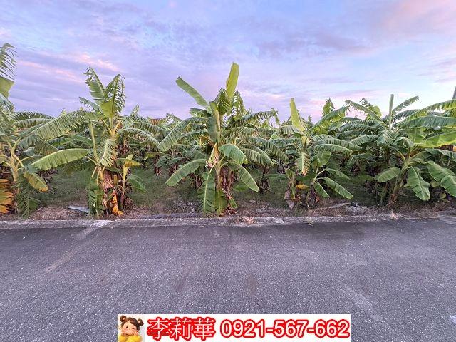 台南新市農地-8