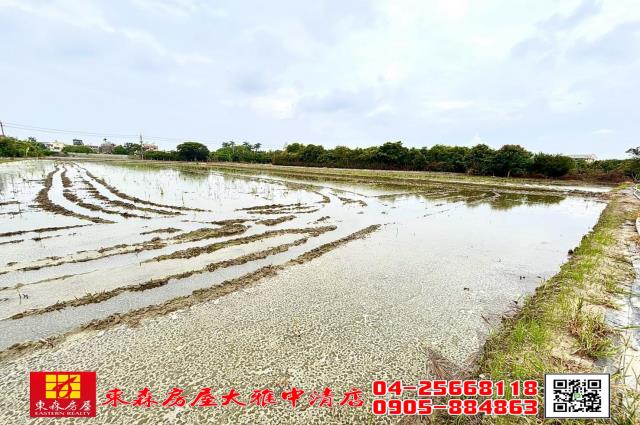 台中神岡農地-1