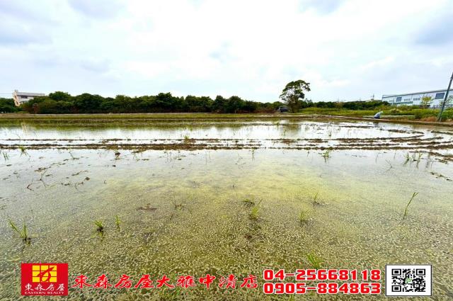 台中神岡農地-3