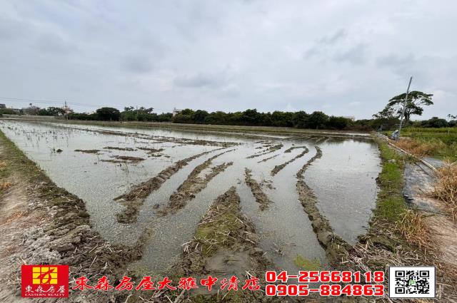台中神岡農地-8