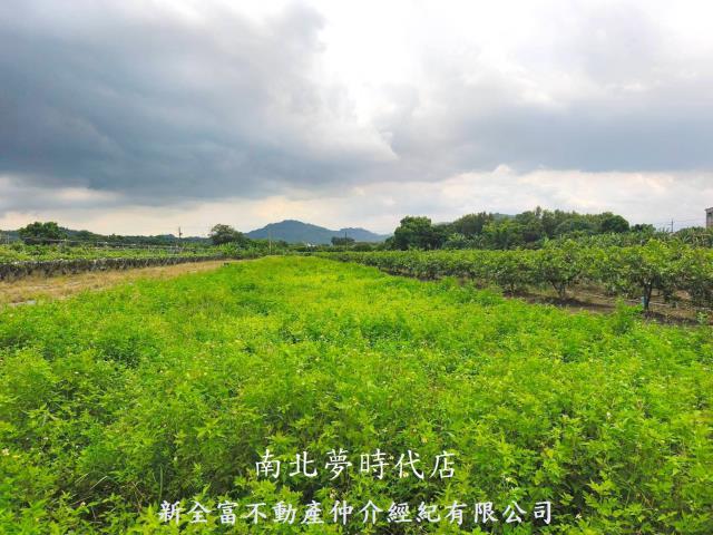 台南玉井農地-2