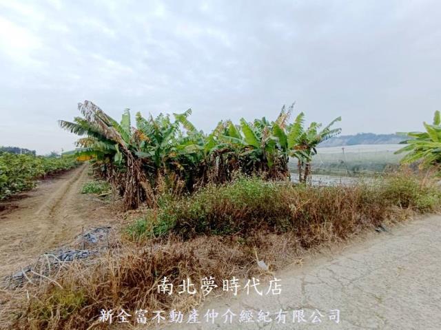 台南玉井農地-4