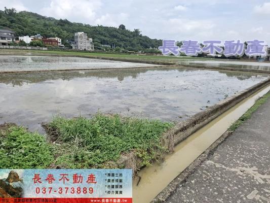 苗栗頭屋農地-4