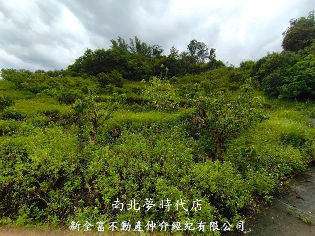 台南楠西農地-14