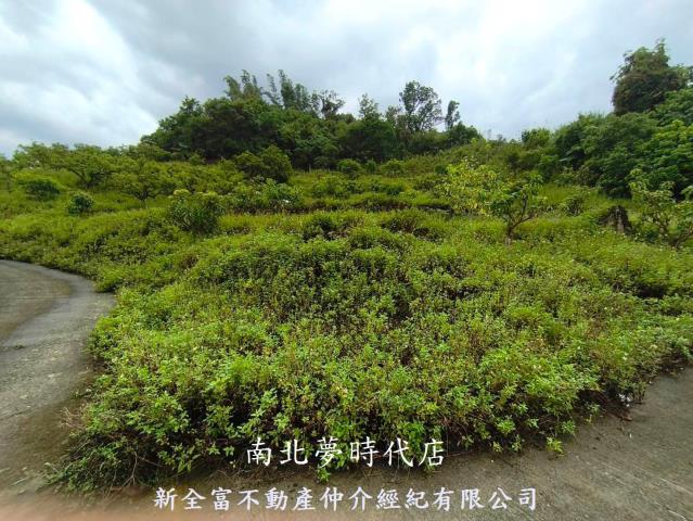 台南楠西農地-15