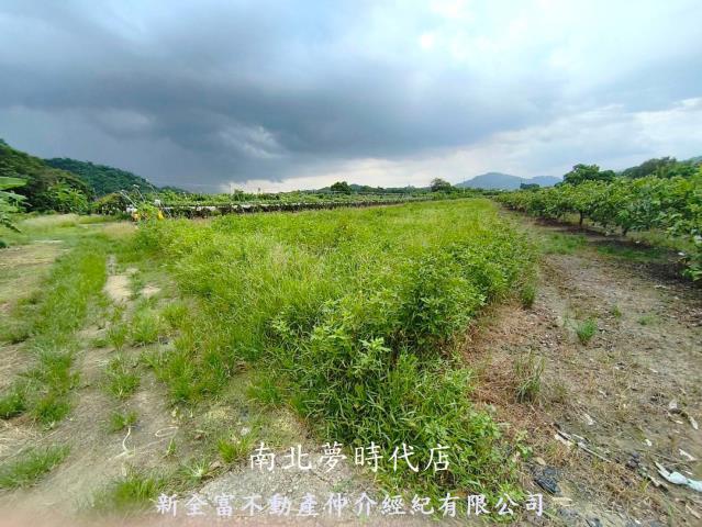玉井農地-13