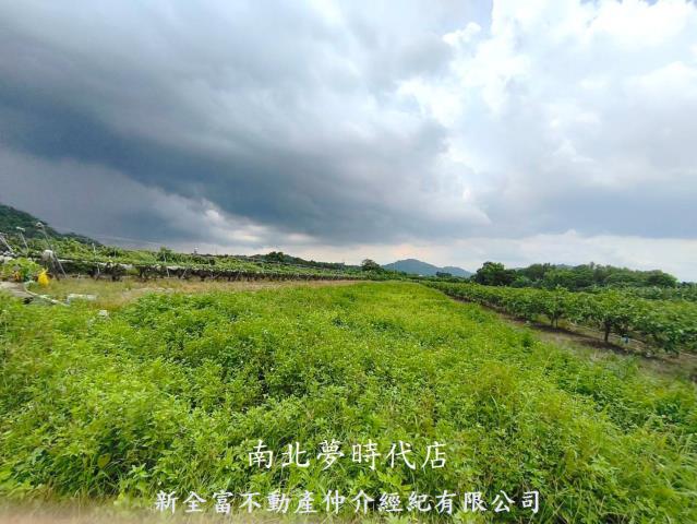 玉井農地-1