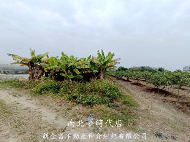 玉井農地-3