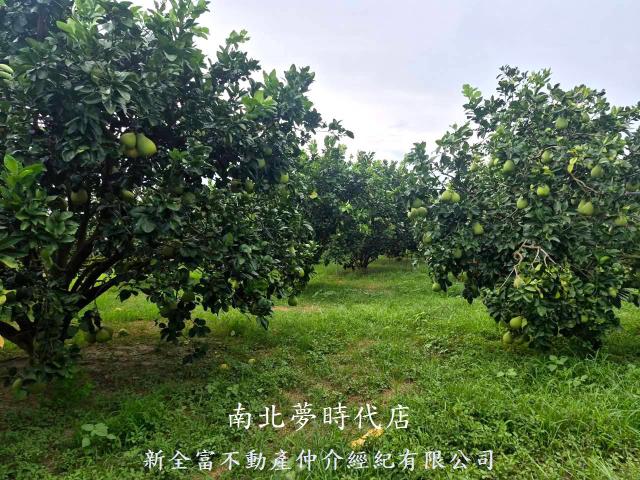 下營農地-1