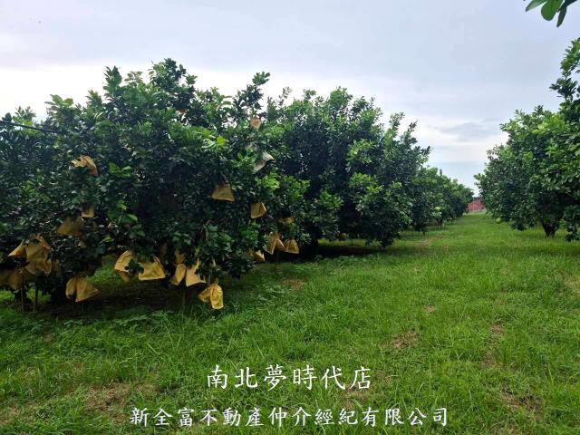 下營農地-4