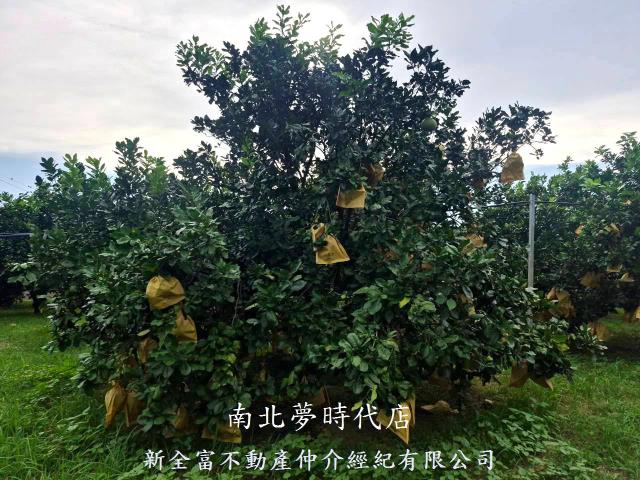 下營農地-6