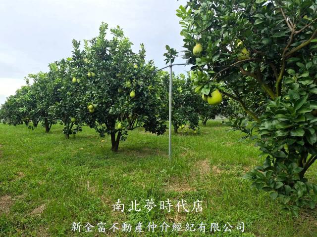 下營農地-8