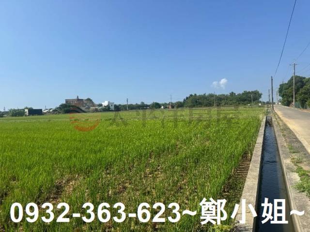 新屋農地-3