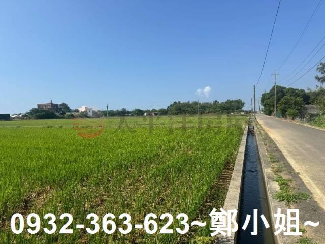 新屋農地-4