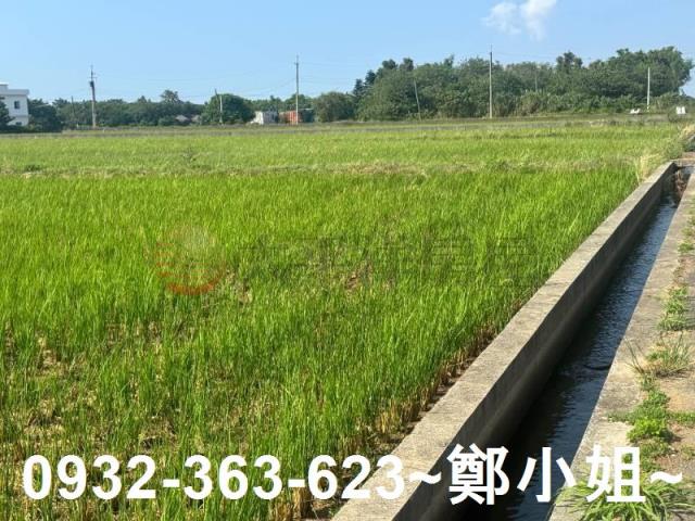 新屋農地-5