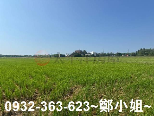 新屋農地-9