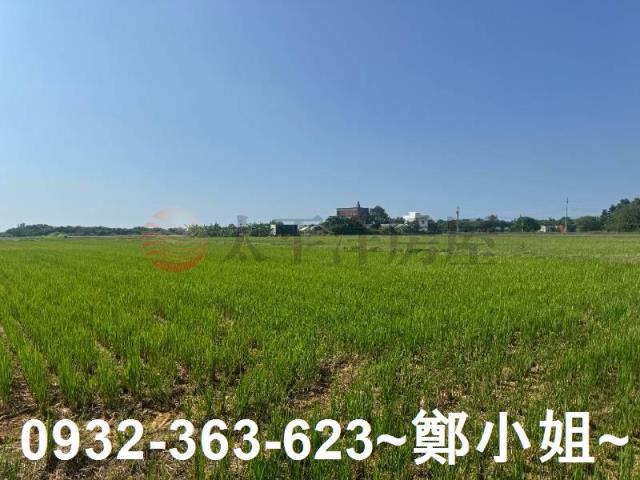新屋農地-10