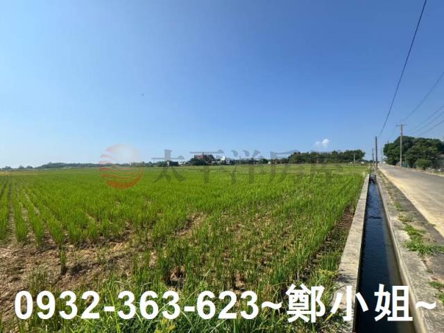 新屋農地-11